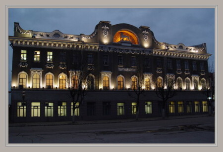 Король лев на скале ночного города