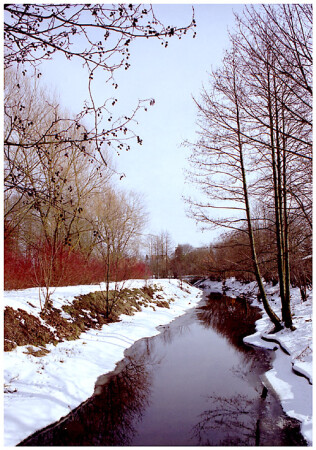 Ранняя весна в Яунмарупэ