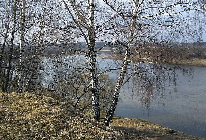 Таруса в середине весны.