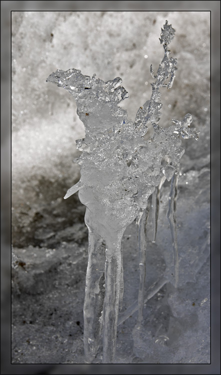 Ice something (Don Quichote)