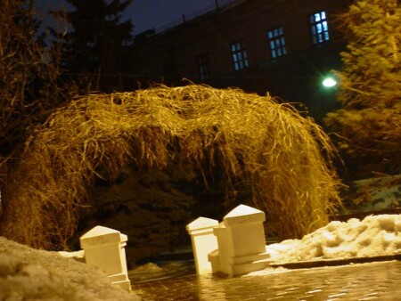 Арка из сухой травы в лучах вечернего освещения