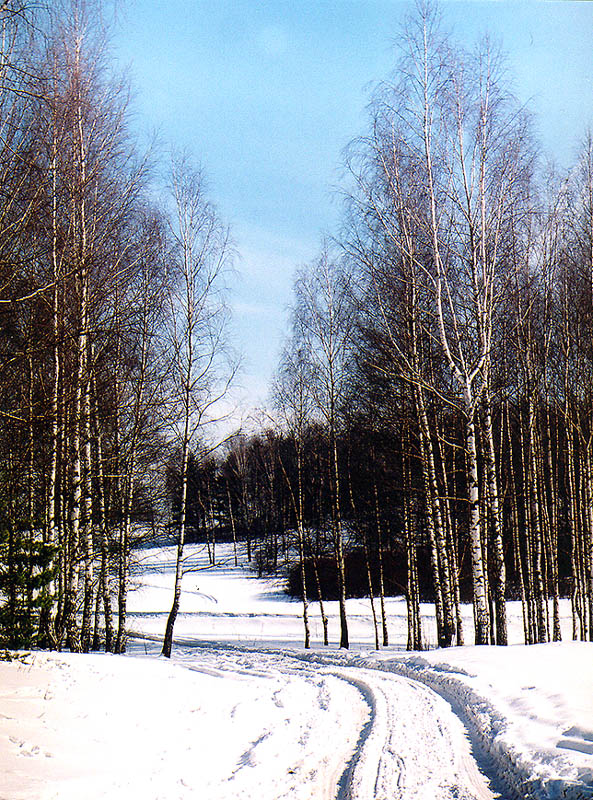Берёзки-2