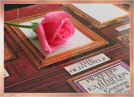 Rose At An Exibition
