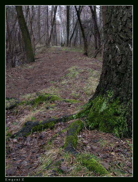Вены - руки, корни - крюки...