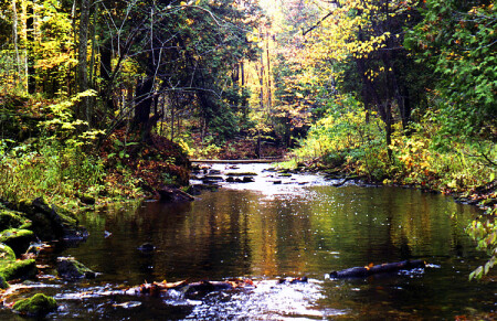 Hilton Falls