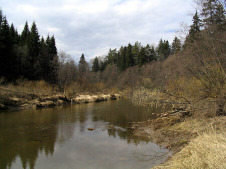 Весна на реке