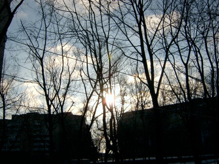 улетела бы в небо,да в ветвях запутаюсь