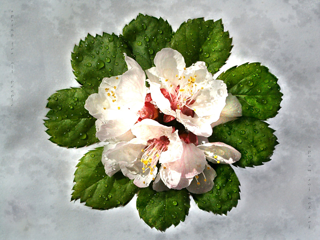 Spring in your life