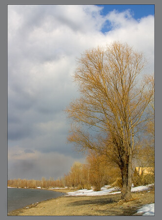 Весенний берег