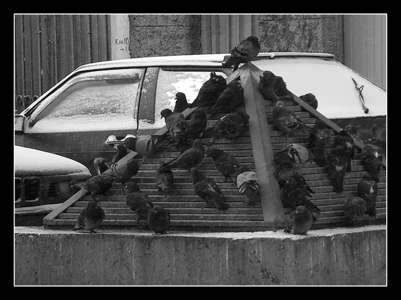 Греются