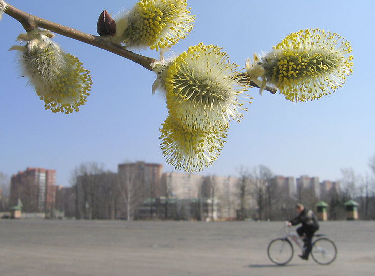 Весенняя панорама