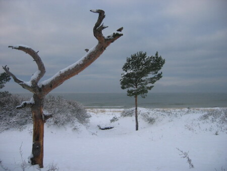 в ожидании лета