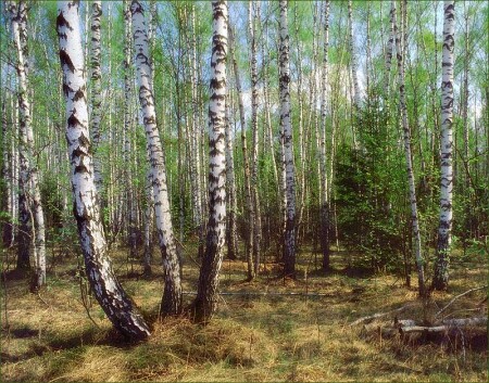 Оттенки юности