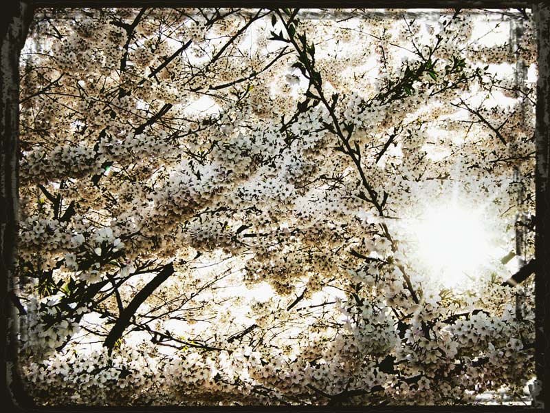 Spring-time