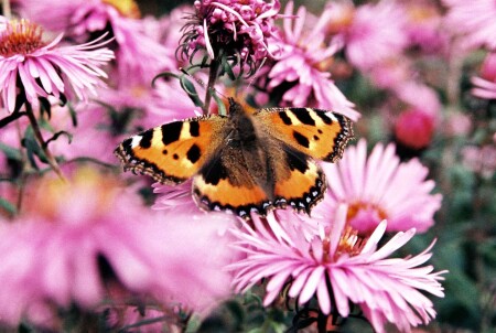 без названия