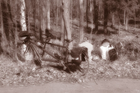 Это нелюбовь 4