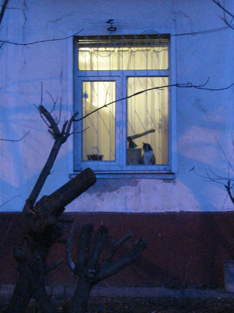 НатюрMORTO