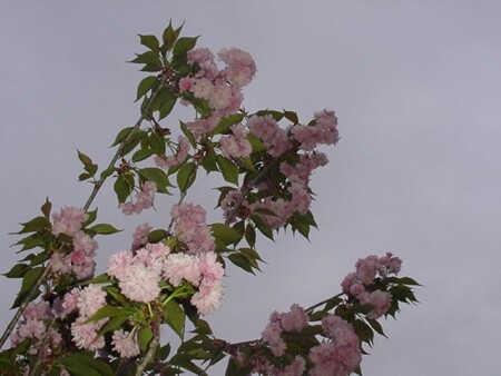 Пасмурный день