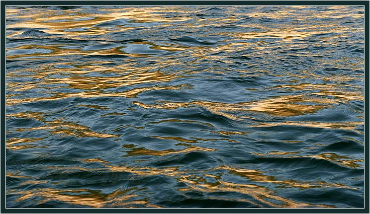 the golden blues