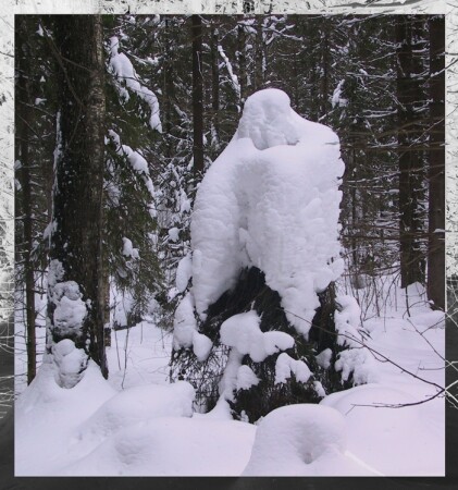 НЕКТО в белом