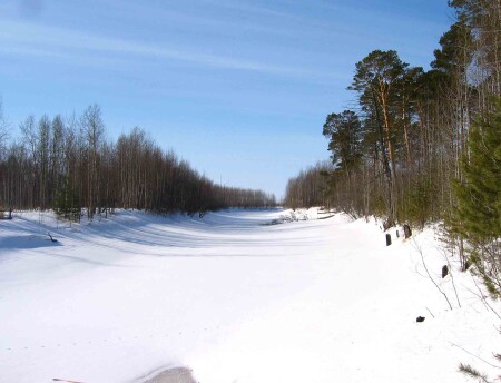 ВЕСНОЙ...ЗАПАХЛО!