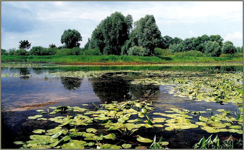 Речка