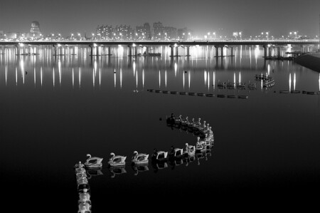 Swan River