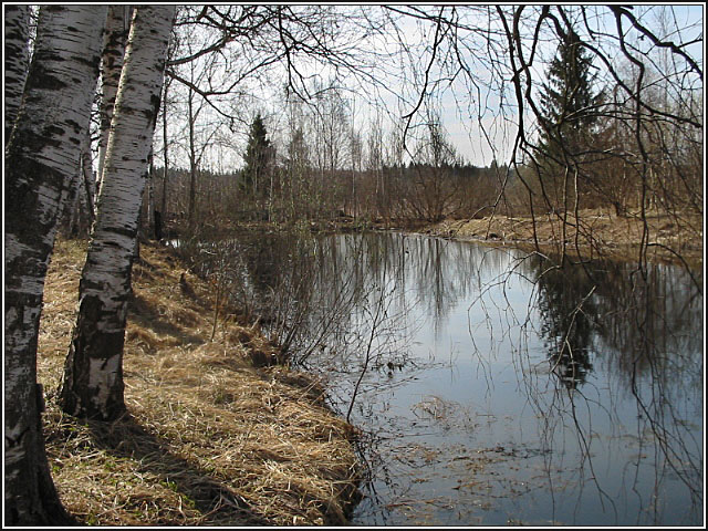 Барский прудик