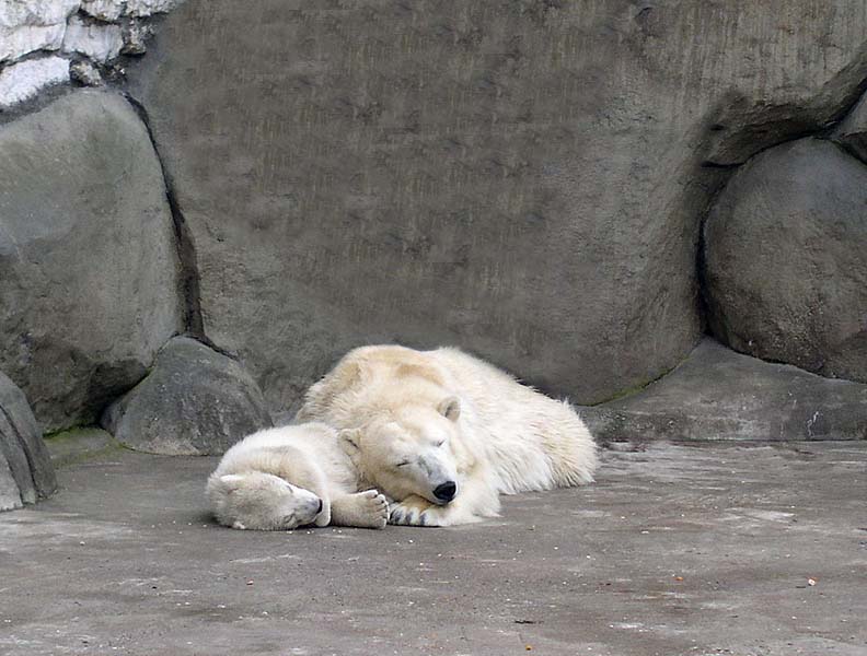 Тихий час