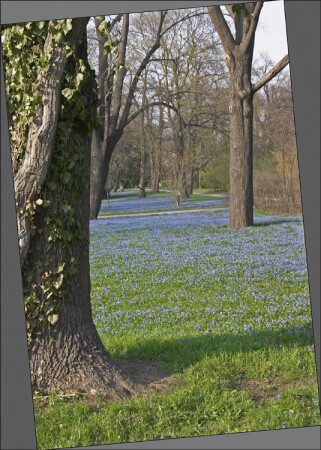 Blues
