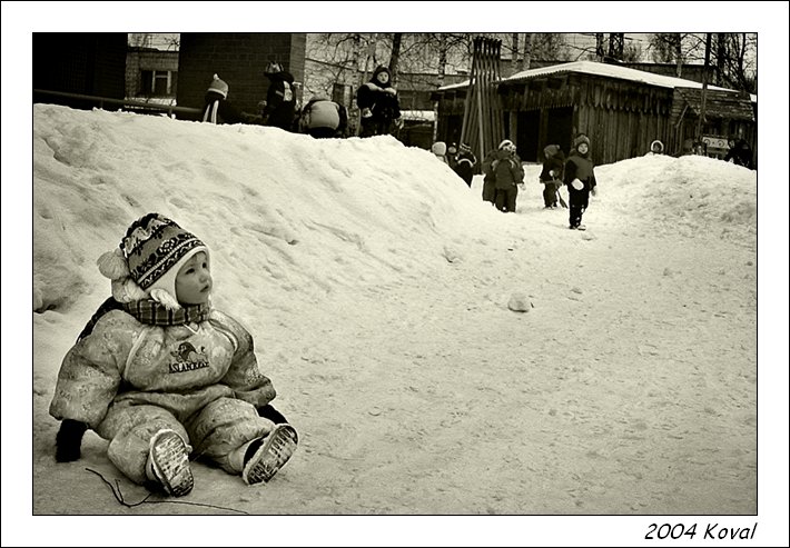отбился от стаи