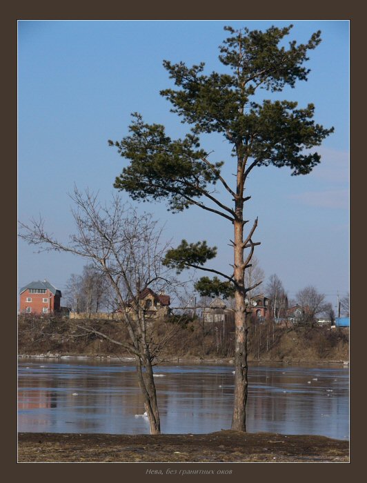 Нева без гранита.
