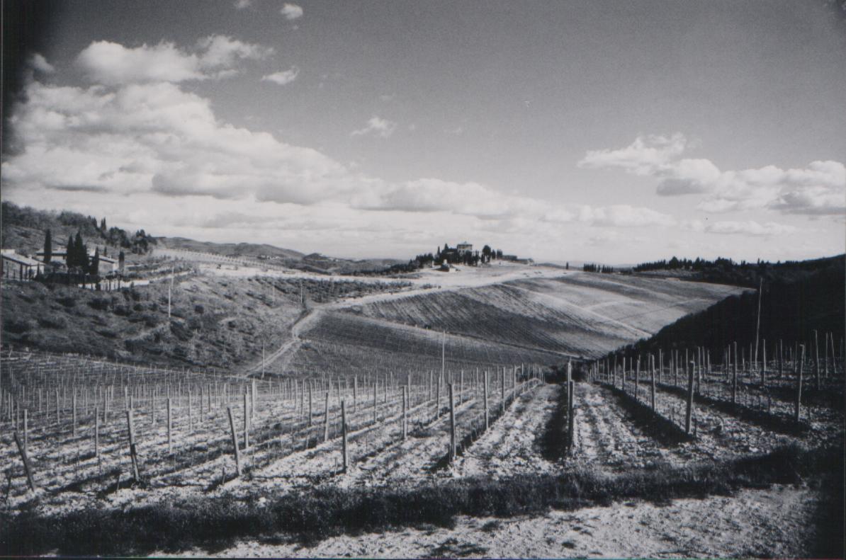 Chianti (Тоскана)