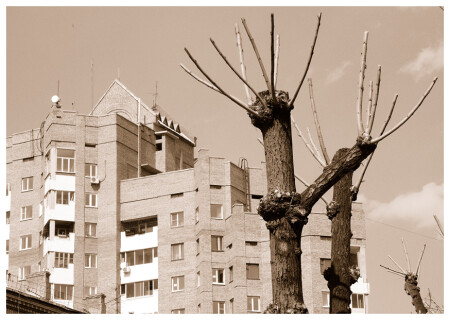 Адаптация…