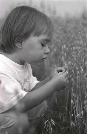 Любопытство