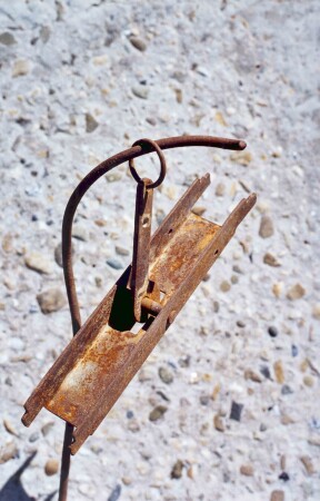 вечность и весы