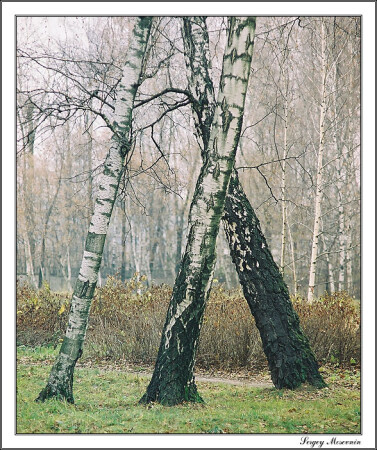 Геометрия