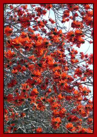 ... Все красное ...