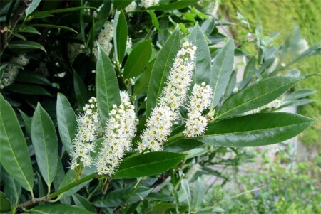 Май пришел!