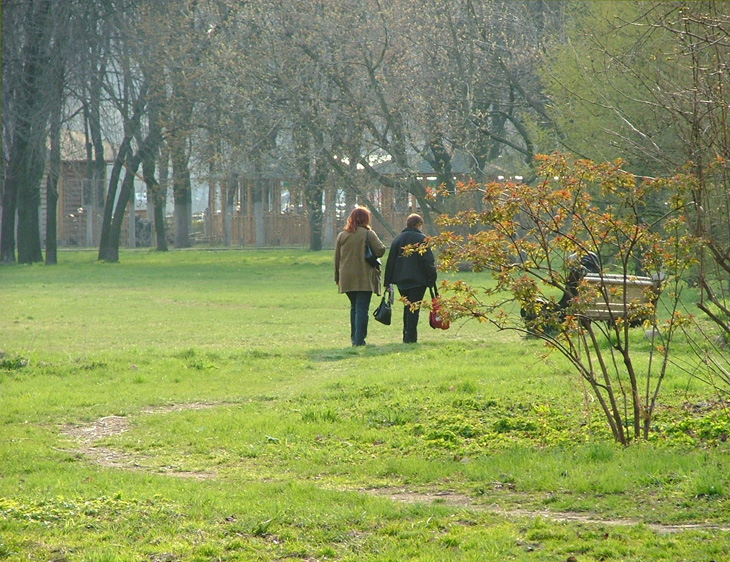 меня подождите