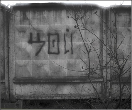 ЦОЙ