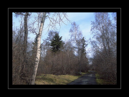 Весна