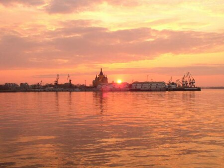 В розовом цвете