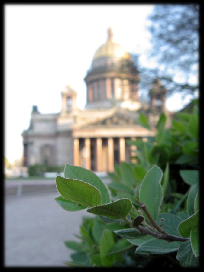 'утренняя