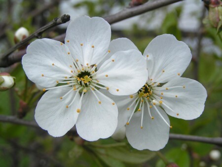 без названия