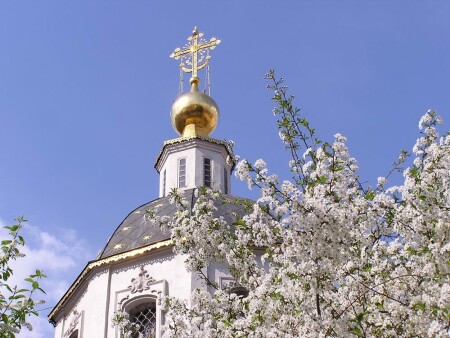 Весеннее цветение