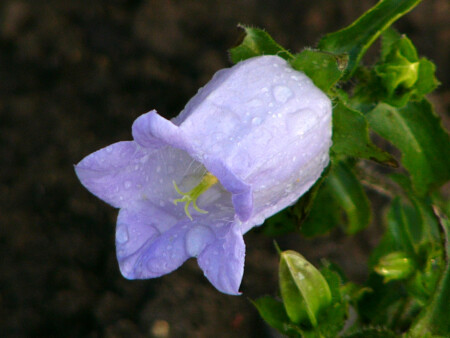 Лето 2003 [часть 2]