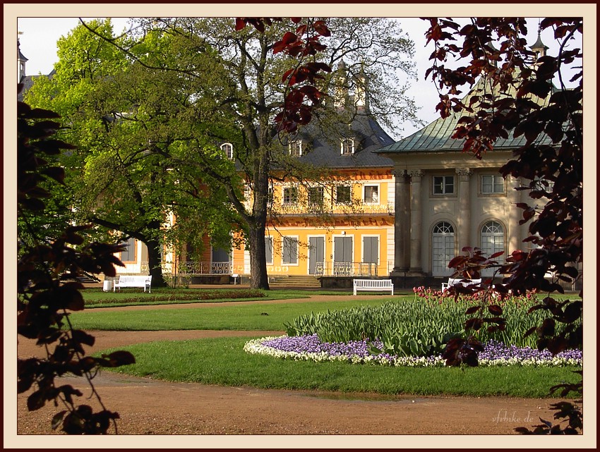 Открытка из Дрездена. Парк Pillnitz.