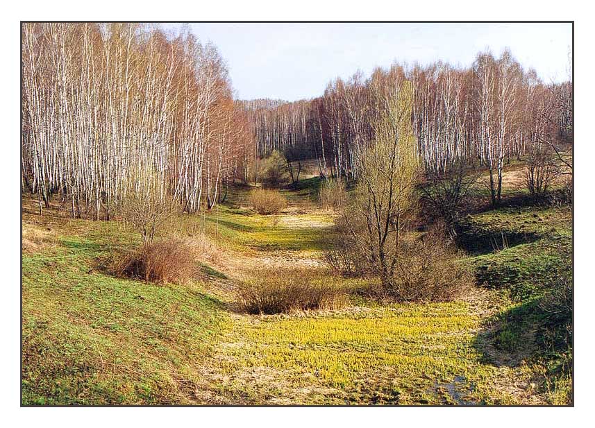 Краски ранней весны