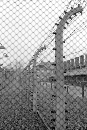 Лагерный пейзаж (Auschwitz1)